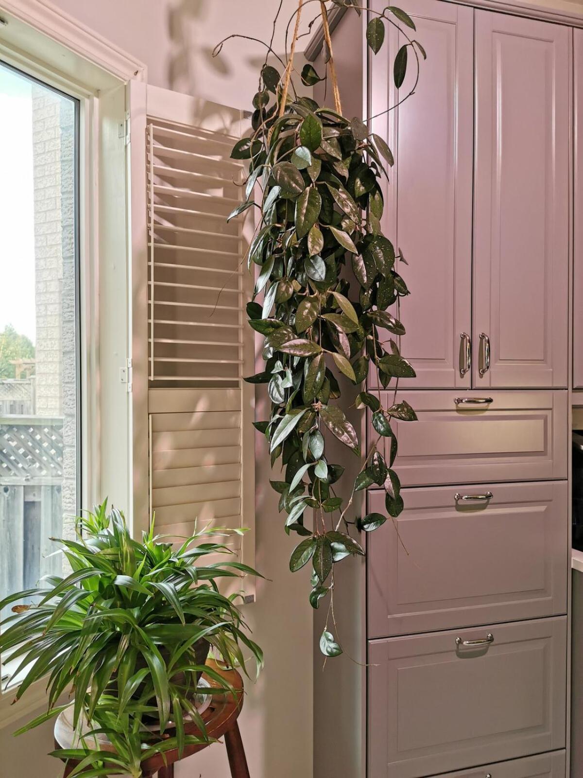 4 Bedroom 3 Washroom Charming Home In Markham With Warm Cozy Vibe エクステリア 写真